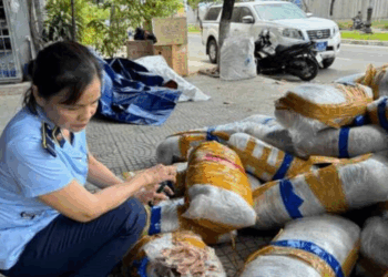 700kg mực khô bị vứt bỏ trên vỉa hè ở Đà Nẵng