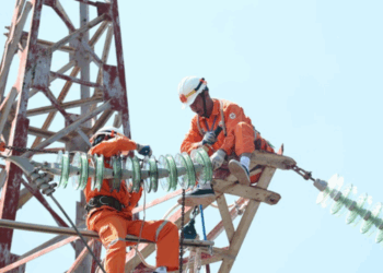 Thông báo lịch cúp điện Đồng Tháp ngày 24/07/2025 (Lịch riêng khu vực Tiền Giang cũ)