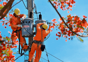 Thông báo lịch cúp điện Tây Ninh ngày 21/07/2025 (Lịch riêng khu vực Long An cũ)