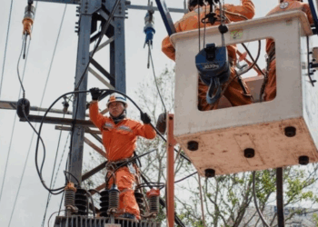 Thông báo lịch cúp điện Đồng Tháp ngày 12/07/2025 (Lịch riêng khu vực Tiền Giang cũ)