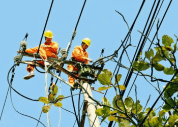 Thông báo lịch cúp điện Tây Ninh ngày 15/07/2025 (Lịch riêng khu vực Long An cũ)