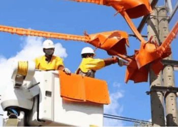 Tây Ninh: Thông báo lịch cúp điện ngày 05/08/2025