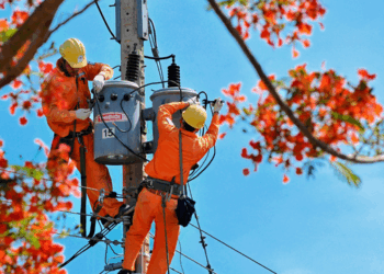 Thông báo lịch cúp điện Đồng Tháp ngày 24/09/2025 (Lịch riêng khu vực Tiền Giang cũ)