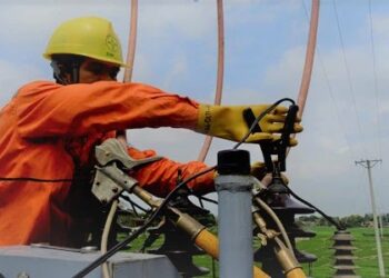 Thông báo lịch cúp điện Tây Ninh ngày 10/11/2025 (Lịch riêng khu vực Long An cũ)