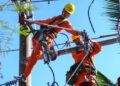 Thông báo lịch cúp điện Đồng Tháp ngày 11/11/2025 (Lịch riêng khu vực Tiền Giang cũ)
