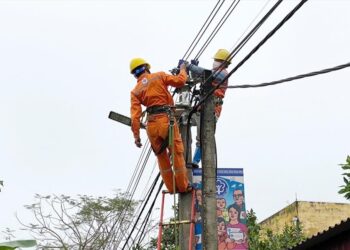 Thông báo lịch cúp điện Đồng Nai ngày 11/11/2025 (Lịch riêng khu vực Bình Phước cũ)